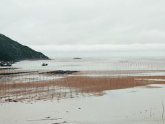 -北岐滩涂