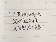 -百川·追风楼沉浸式剧本杀