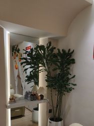 -森林头疗美容养发馆