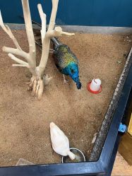 -未来动物城主题公园(正弘城店)