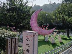 -香雪海