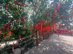-南翠屏公园