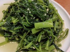 清炒鸡毛菜-涌觅名灶·本地海鲜宁波菜(财富广场店)