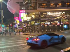 -拉斯维加斯永利酒店