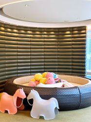 -巍阁高端月子会所