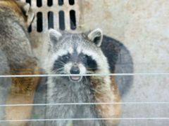 -石家庄市动物园