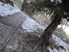 -香山公园