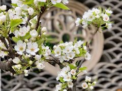 -木塔寺遗址生态公园