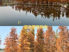 -白鹭湾湿地公园