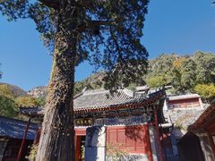 -北京上方山国家森林公园