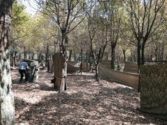 -菊园百果园