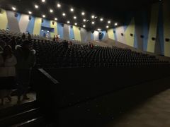 -天幕新彩云国际影城(激光巨幕店)