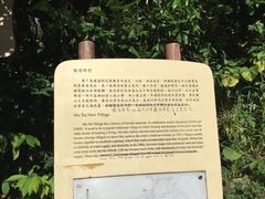 -南丫岛