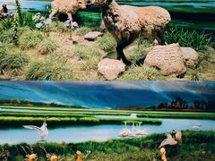 -中国湿地博物馆