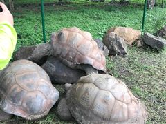 -卡塞拉自然公园