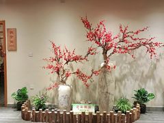 -鸽子窝(万丰路店)