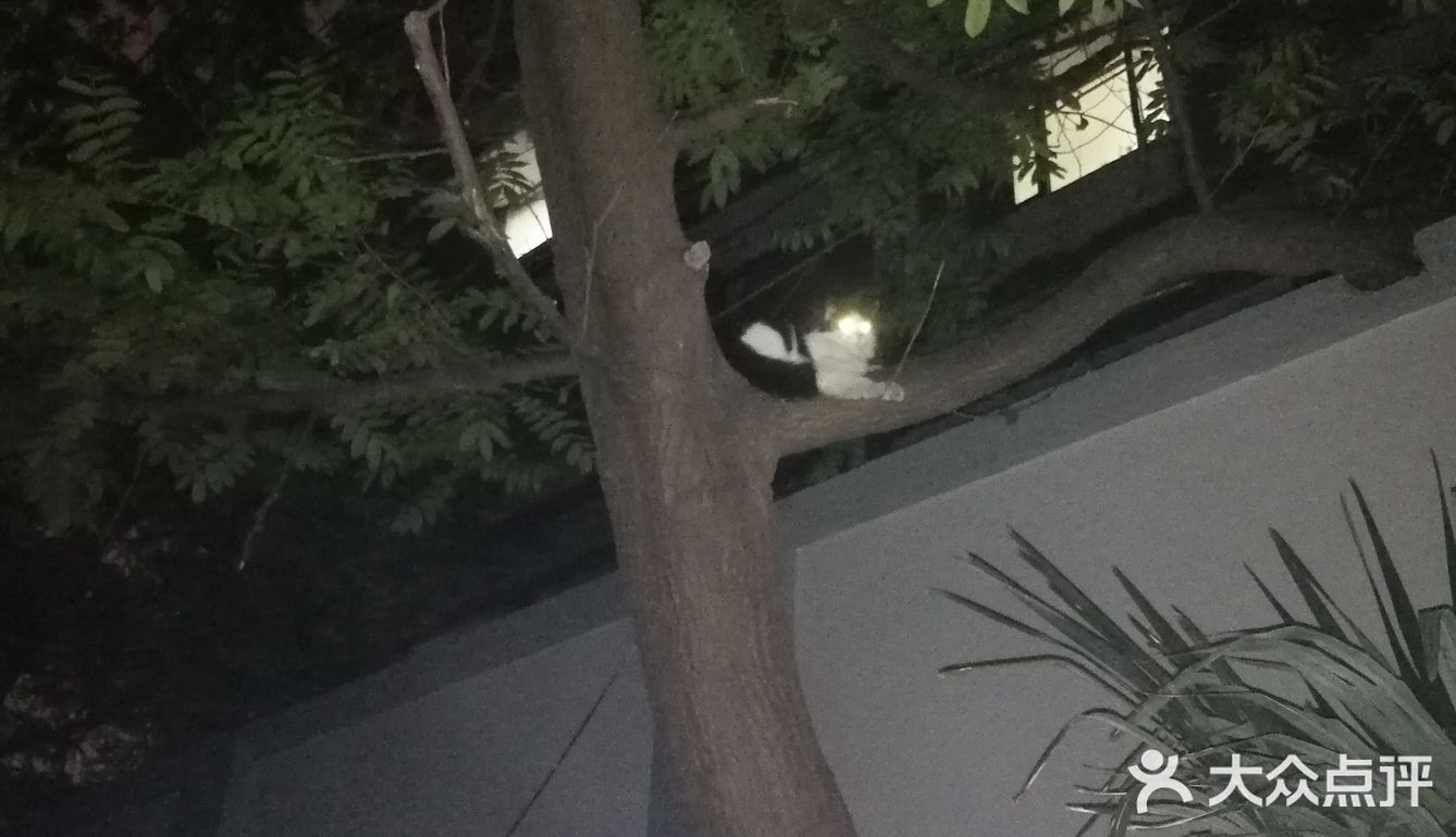 【6区】终于在白天看清了她的脸，起名梦露。