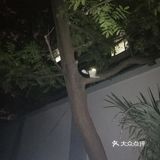 【6区】终于在白天看清了她的脸，起名梦露。