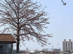 -喜洲吧·江畔老船厂·庭院餐厅(喜临院店)