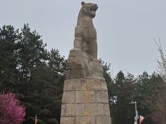 -帽儿山国家森林公园