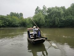 -溱湖国家湿地公园