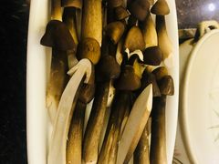 鸡松菌-钦善斋(武侯祠店)