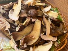 红色见手青-菌海森林·非遗野生菌火锅(西山区滇池路摩根道店)