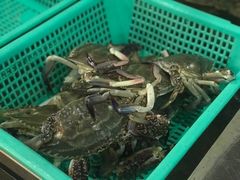 -浩运·海鲜青岛菜·海胆水饺(石老人店)