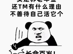 -明亚保险经纪股份有限公司(上海分公司)
