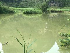 -明仕田园
