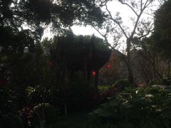 -乌山风景区