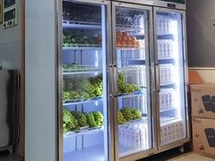 -雾与山茶(大禹城店)