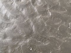 -台山黑沙湾海浴场