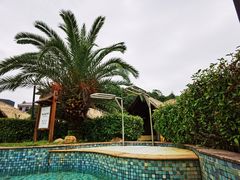 -咸宁万豪温泉谷度假区