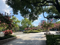 -杭州城北体育公园