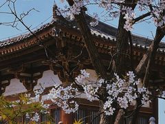 -西安青龙寺遗址景区