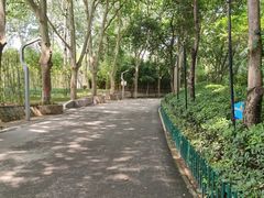 -西安市长乐公园