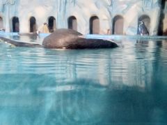 -常州海昌海洋探索馆