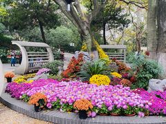 -菊花台公园