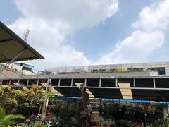-曲阳花鸟市场(曲阳路店)
