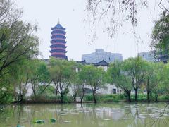 -长兴太湖图影湿地文化园