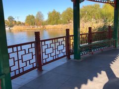 -西海子公园