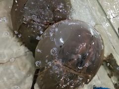 -宋船渔栈(白沙店)