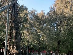 -北京市劳动人民文化宫(太庙)