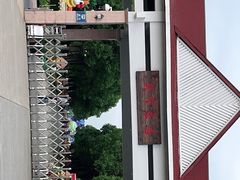 -上海都市菜园