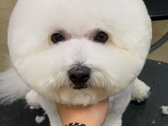 -多卡布奇宠物生活馆(上林世家店)