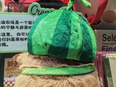 -酷乐潮玩(五道口购物中心店)