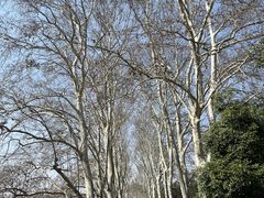 -雨花台烈士纪念馆