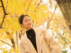 -三里屯东五街银杏大道