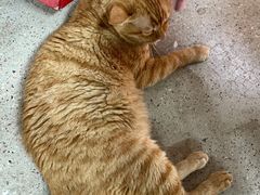 -观澜湖手艺工场·陶艺·吹玻璃·拼豆